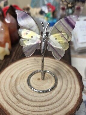 Flourite Butterfly 3 In (Mental Focus) ( A)
